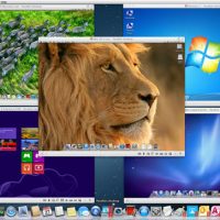 parallels-2.jpg