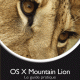 mountain_lion.gif
