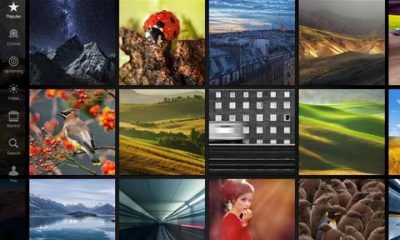 500px.jpg