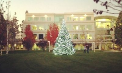 cupertino-christmas-tree.jpg