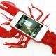 lobster-1.jpg