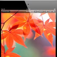 retina-3.jpg