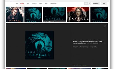 google_image_search.jpg