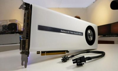 7950-f.jpg