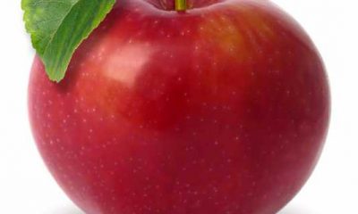apple-18.jpg