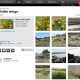 google_chromescreensnapz001-97.jpg