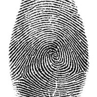 fingerprint.jpg