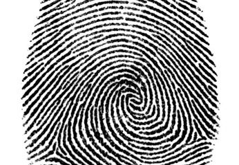 fingerprint.jpg