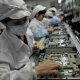 foxconn-2612c9ae1e3a4bbb9b3496890fa153dd66697f9b-s6-c10.jpg