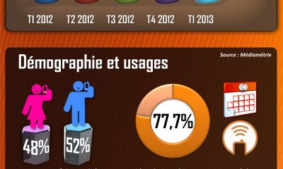 infographie-barometre-mmaf---mai-2013.jpg