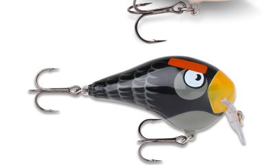 rattlin_-red-bird.jpg