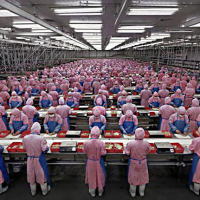 islave-iphone-5-foxconn.png