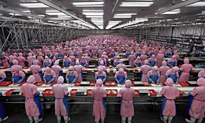 islave-iphone-5-foxconn.png