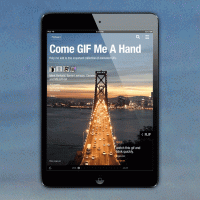 gifs_blog_1_animated.gif