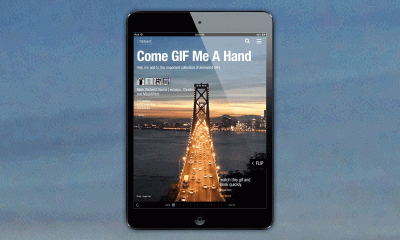 gifs_blog_1_animated.gif