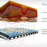 authentec_cross_section-800x507.jpg