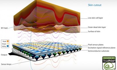 authentec_cross_section-800x507.jpg