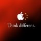 apple-642x427.jpg