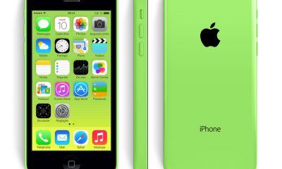 design_gallery_slide_green-2.jpg
