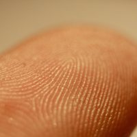 fingerprint_detail_on_male_finger.jpg