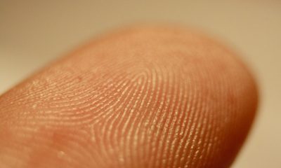 fingerprint_detail_on_male_finger.jpg