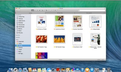 screen800x500-15.jpg