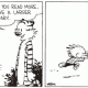 calvin2.gif