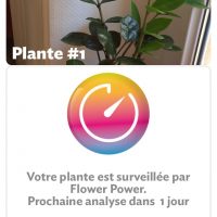 analyse_plante.jpg
