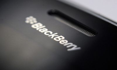 blackberry-sign-2938.jpg