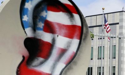 grandes_oreilles_americaines.jpg