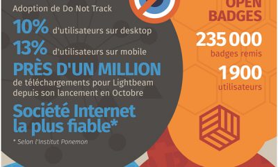 Mozilla_2013_Infographie.jpg