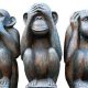 les-trois-singes-de-la-sagesse-fond-blanc.jpg