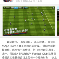 fifa14taig.png