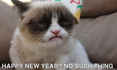 post-12851-a-very-grumpy-cat-new-year-s-e-1whi.png