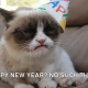 post-12851-a-very-grumpy-cat-new-year-s-e-1whi.png
