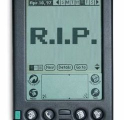 palm-rip-2.jpg