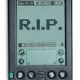 palm-rip-2.jpg