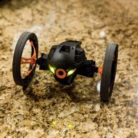 parrot-sumo.jpg