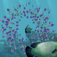 blue_deep_1.jpg