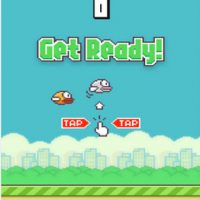 bn-bj997_flappy_dv_20140206095725.jpg