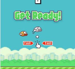 bn-bj997_flappy_dv_20140206095725.jpg