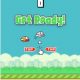 bn-bj997_flappy_dv_20140206095725.jpg