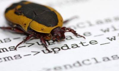 bug-informatique.jpg