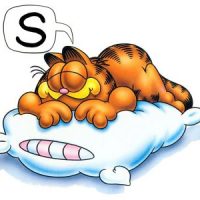 garfield_sleep.jpg