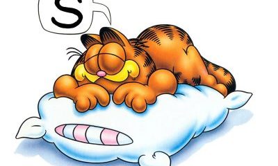 garfield_sleep.jpg