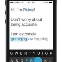 fleksy.jpg