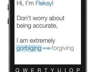 fleksy.jpg