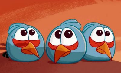 birds.jpg