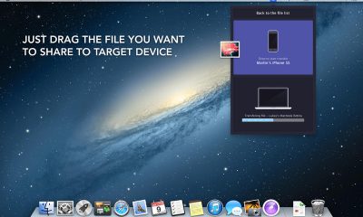 screen800x500-63.jpg