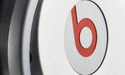 bibit.jpg